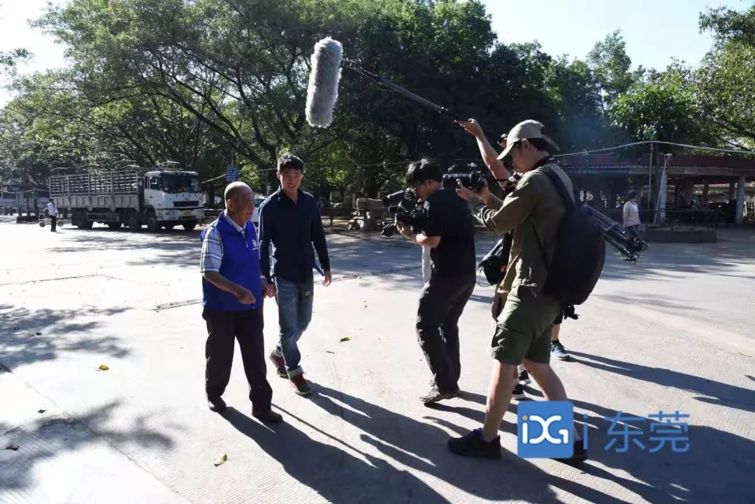 相牛78载!东莞有个金牌“牛经纪”!央视聚焦,看东莞百年牛墟魅力