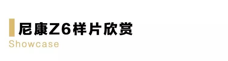 尼康相机z7全画幅微单价格表 (尼康微单全画幅z7ii什么价格)