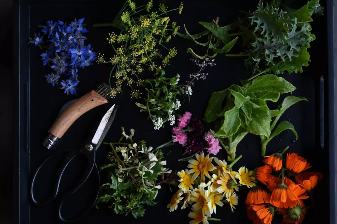 尼康相机z7全画幅微单价格表 (尼康微单全画幅z7ii什么价格)