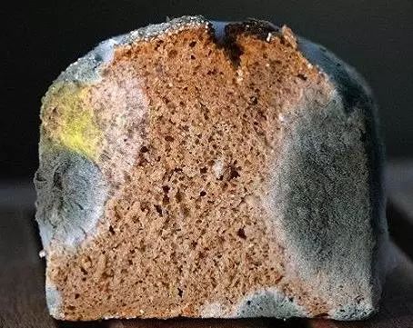 20个科室不能做的医生,17个科室医生从没有告诉你的秘密