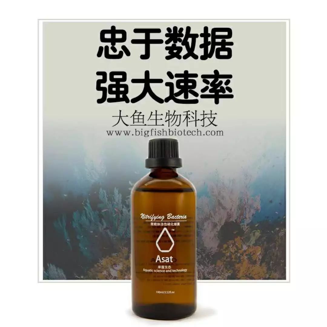 浣庝环绉掓潃闄愭椂鎶㈣喘浣庤嚦5鎶樿捣,鐗规儬绉掓潃浣庤嚦49鍏冭捣