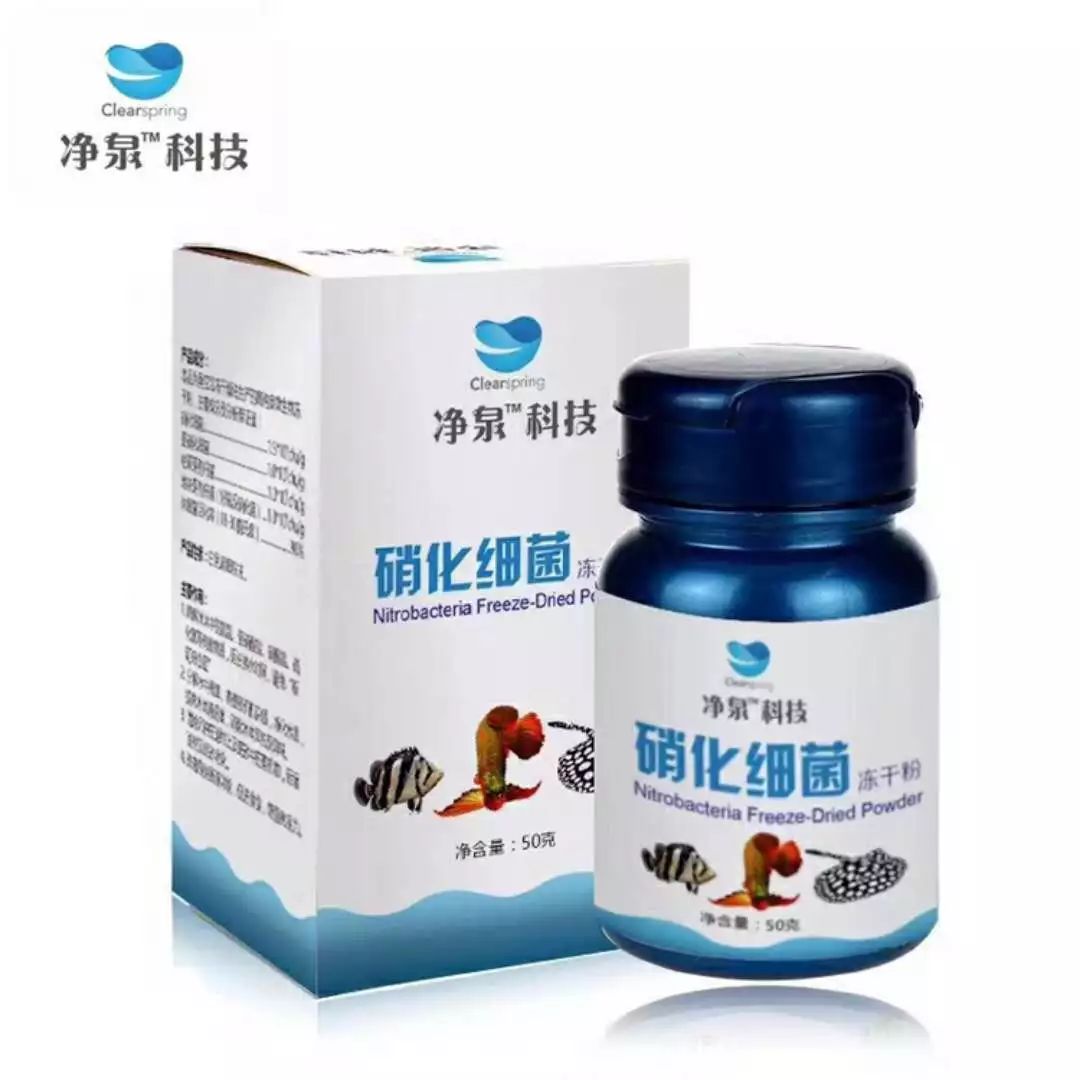 浣庝环绉掓潃闄愭椂鎶㈣喘浣庤嚦5鎶樿捣,鐗规儬绉掓潃浣庤嚦49鍏冭捣