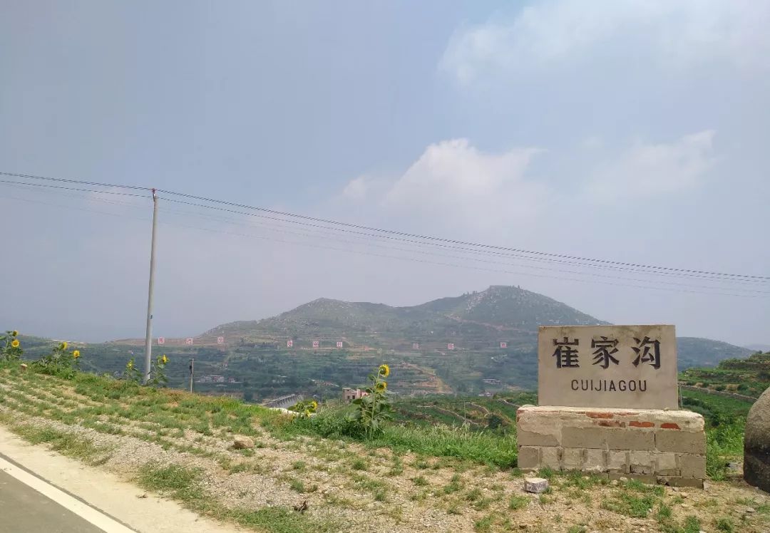 临沂田园综合体,临沂沂南田园综合体名单