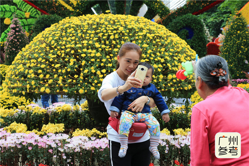 从小就唱“氹氹转”，里面的“菊花园”你见过吗？