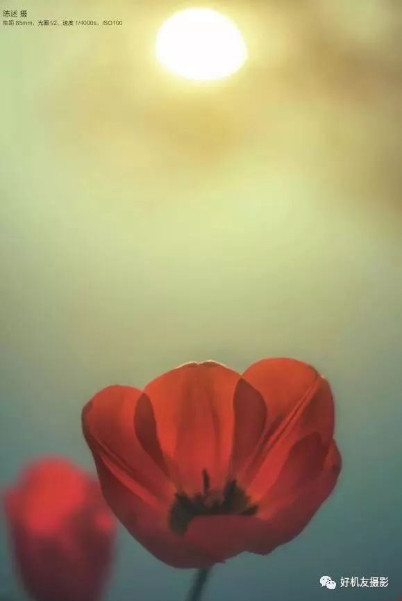 手机摄影如何调整光圈,摄影技巧光圈的应用