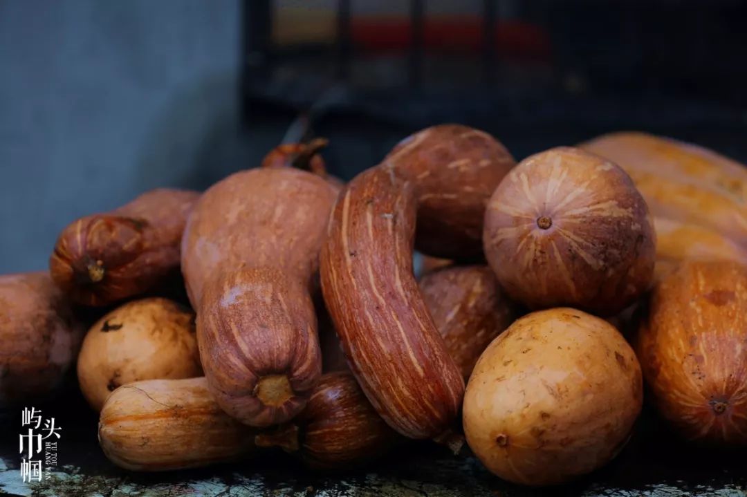 巾帼创辉煌,巾帼逐梦出彩人生