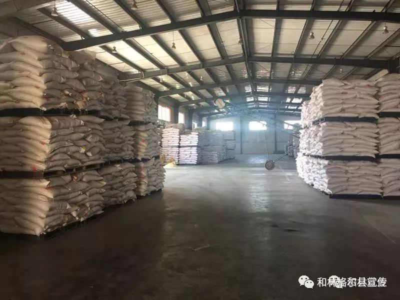 和林格尔电厂招聘信息,和林格尔招人