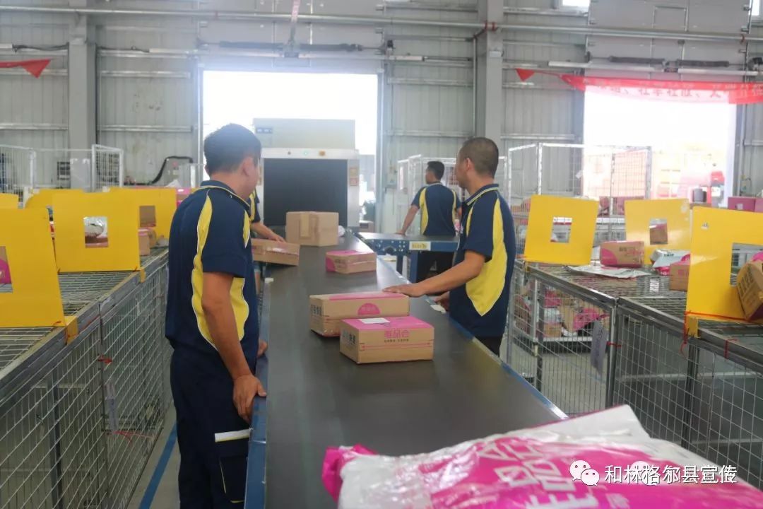 和林格尔电厂招聘信息,和林格尔招人