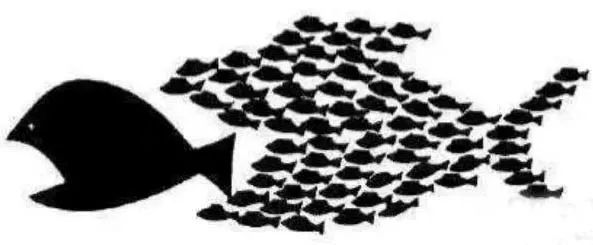 标局开讲｜从企业品牌到个人情怀——做“快鱼”