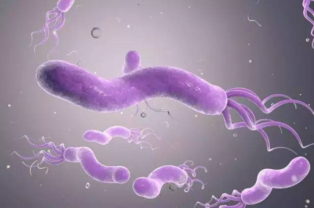 一直有口臭吃什么内调,如何从根本上解决口臭的问题