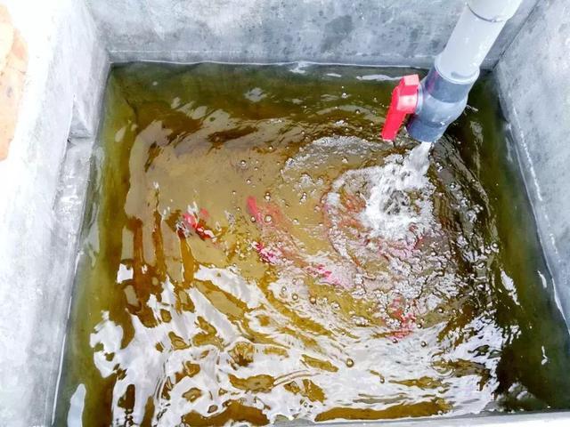 处理生活垃圾看看明港镇咋样“突围”