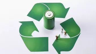 怎么识别菌菇有毒啊,说有毒啊你怎么回复