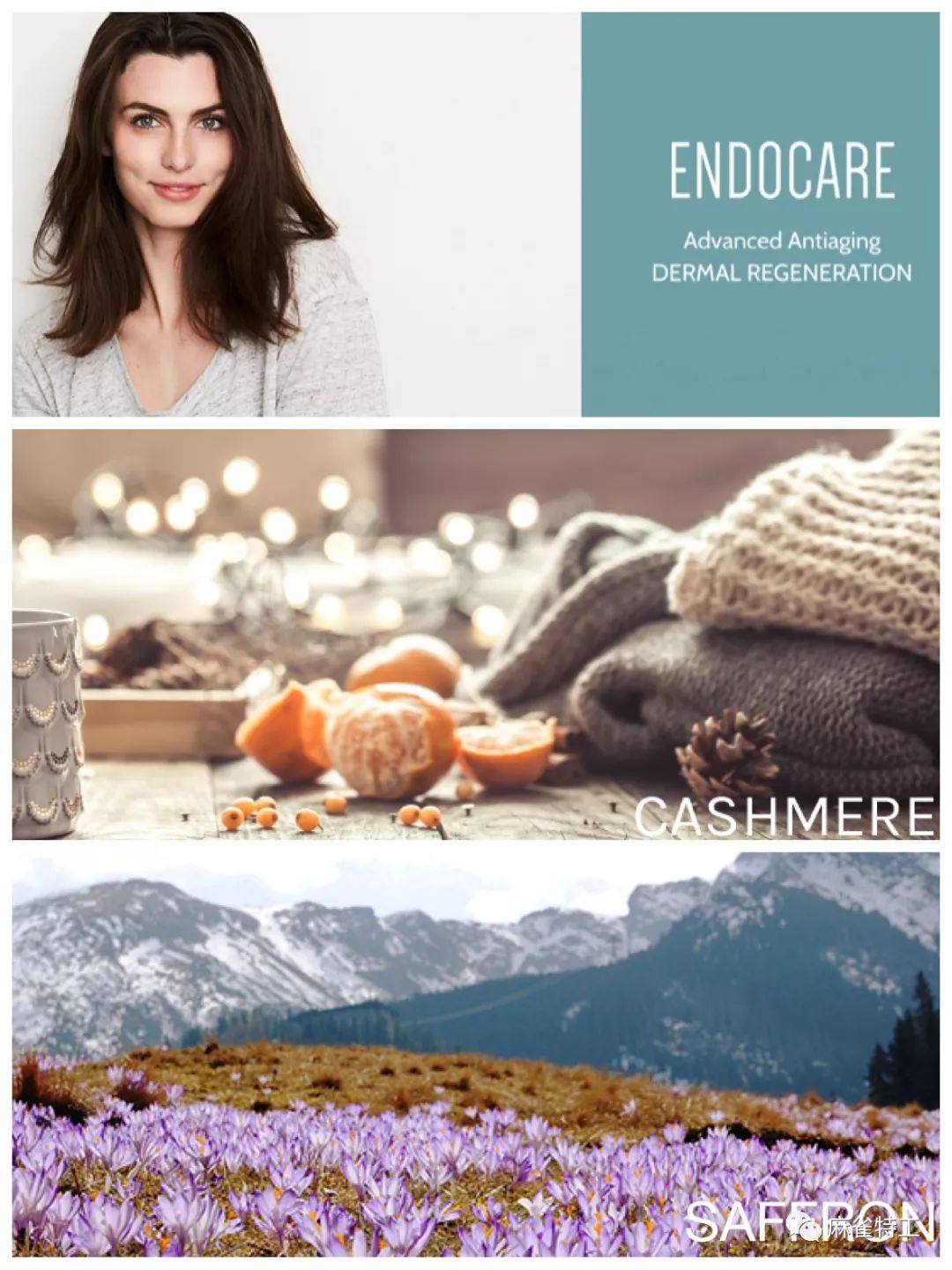 马德里｜助你闪亮过冬的西班牙特色好物！