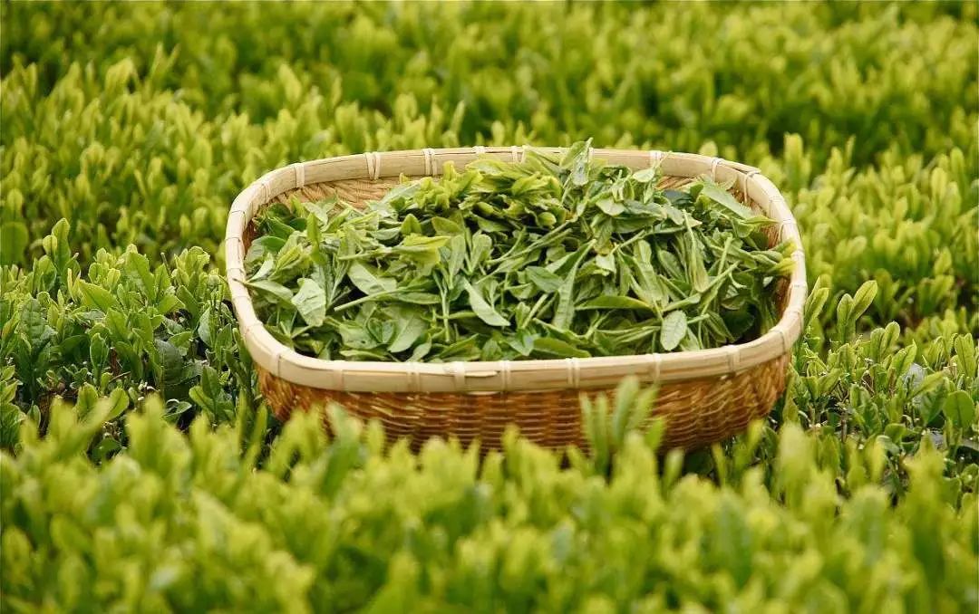 四季江宁旖旎无限,春华秋实美在“世凹桃源”