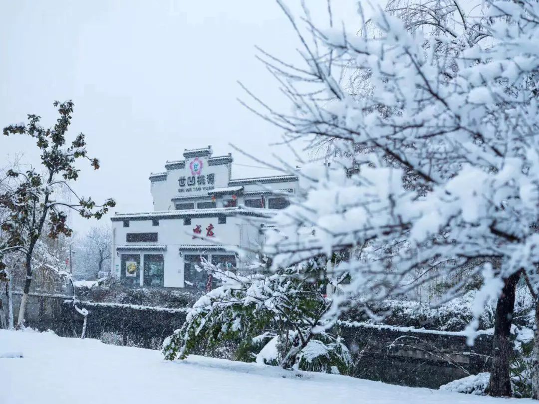 四季江宁旖旎无限,春华秋实美在“世凹桃源”