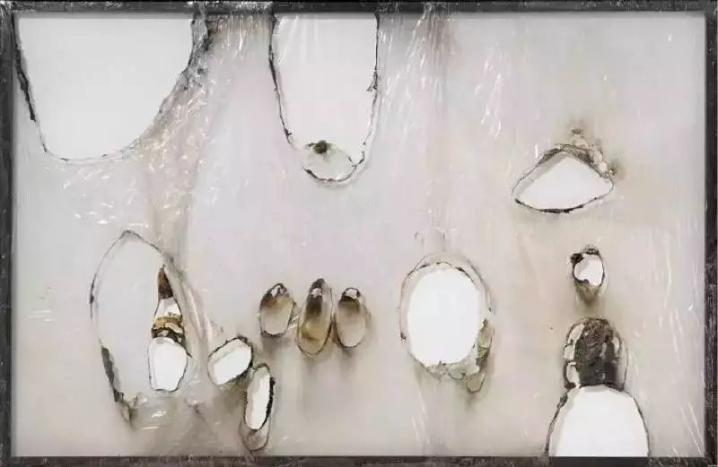 阿尔贝托布里尼奥利,阿尔贝托布里图片