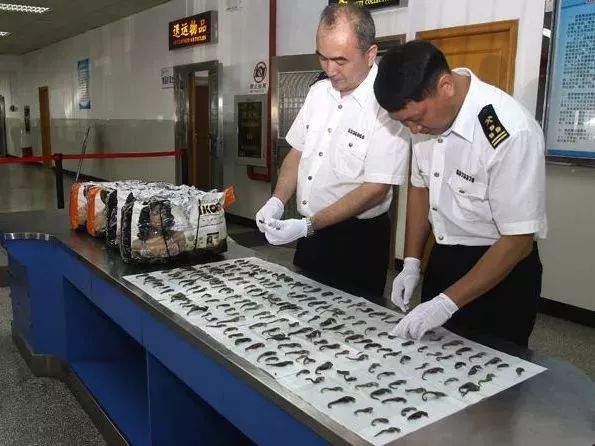 香港最新税制,香港免税税率