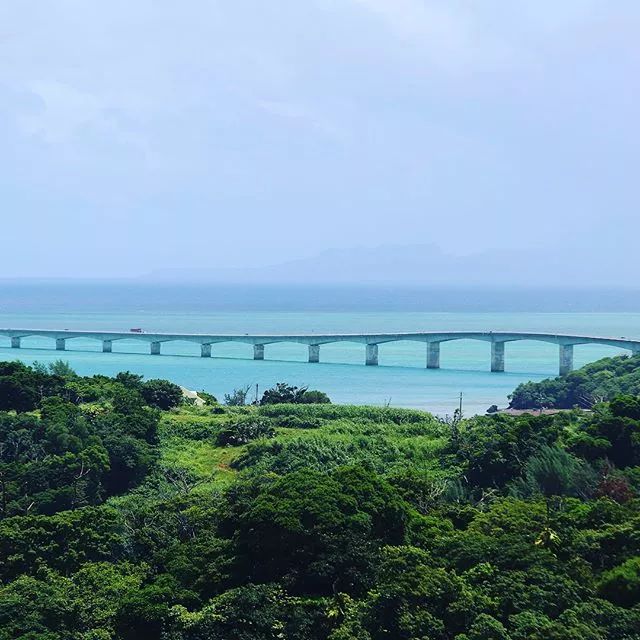 日本夏威夷樱花海岛,在日本最晚看到樱花开放的岛屿