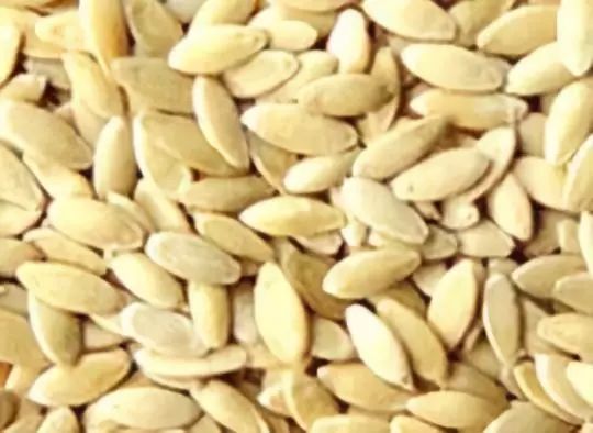 东北老旱黄瓜籽补钙吗,黑芝麻和黄瓜籽补钙吗