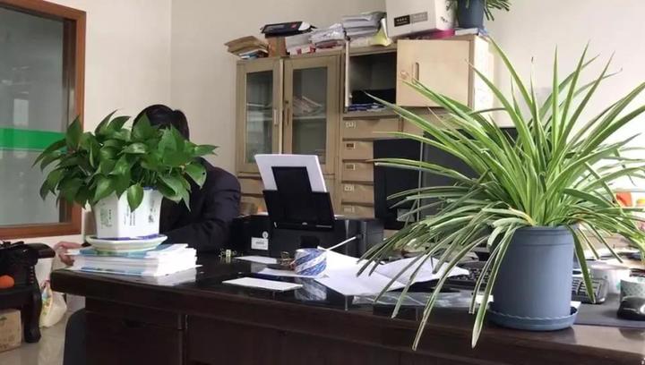 因财务不慎公司被骗126万怎么办,海宁财务被骗事件