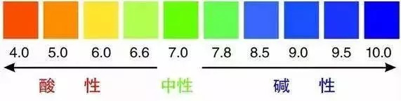 一刷就白的网红牙膏是真的假的,自从换了牙就牙黄