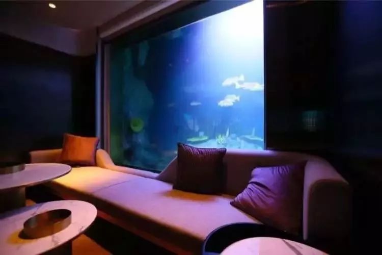 上海深坑酒店攻略,上海深坑酒店有多少房间