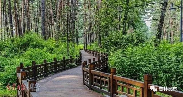 “全国综合实力千强镇”榜单发布,我省7个镇入选,公主岭市范家屯镇排名全省第一!