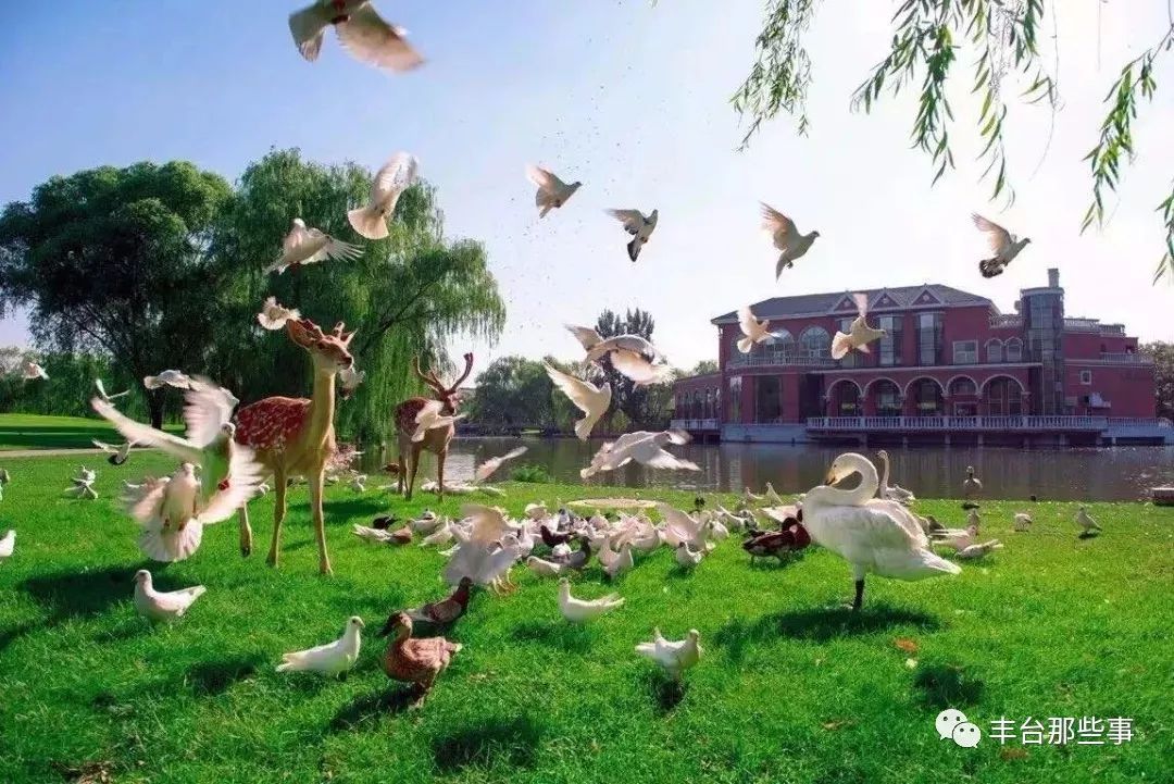 北京冬天泡温泉的好去处,北京冬天适合泡温泉的地方