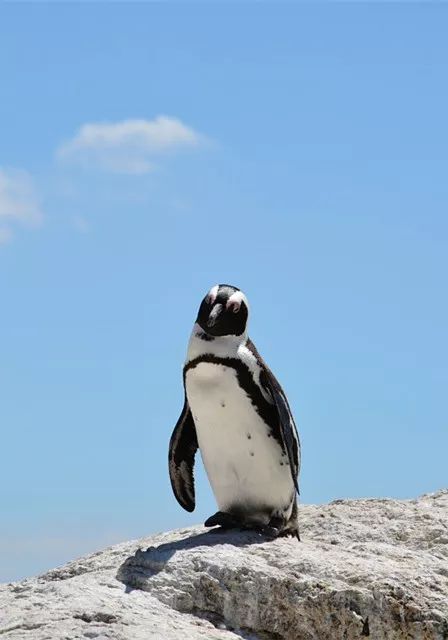告辞了，秋裤！我要去南非过夏天！