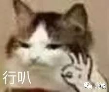 王思聪抽手机壳,王思聪抽奖活动视频