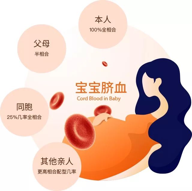 世界范围内脐带血可以治多少疾病,世界脐带血日