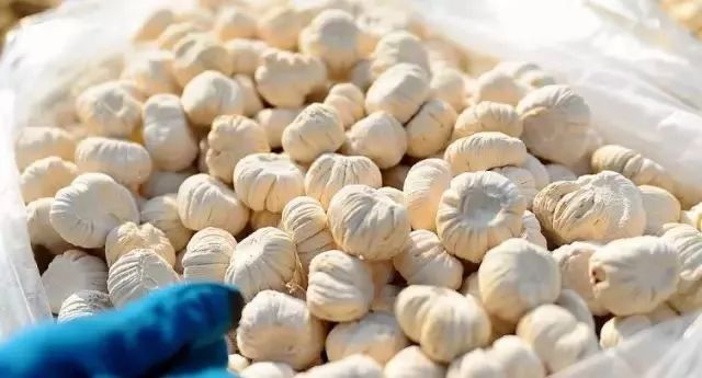 小时候是怎么过冬天的,小时候冬天的场景