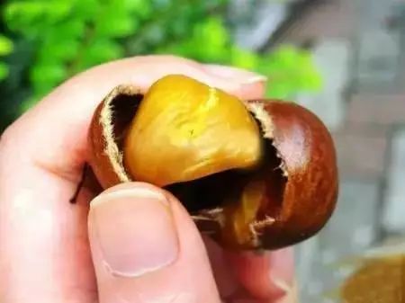 小时候是怎么过冬天的,小时候冬天的场景