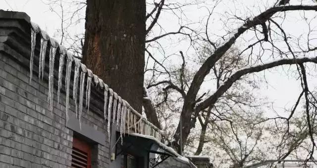 小时候是怎么过冬天的,小时候冬天的场景