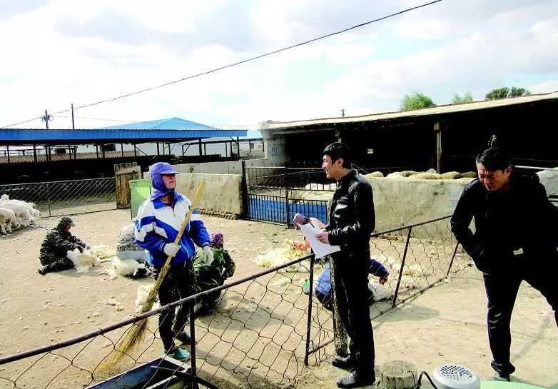 「行业风采」小额*款贷**“贷”富农户