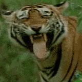 推荐的祛痘面膜青春期,祛痘紧急修复面膜