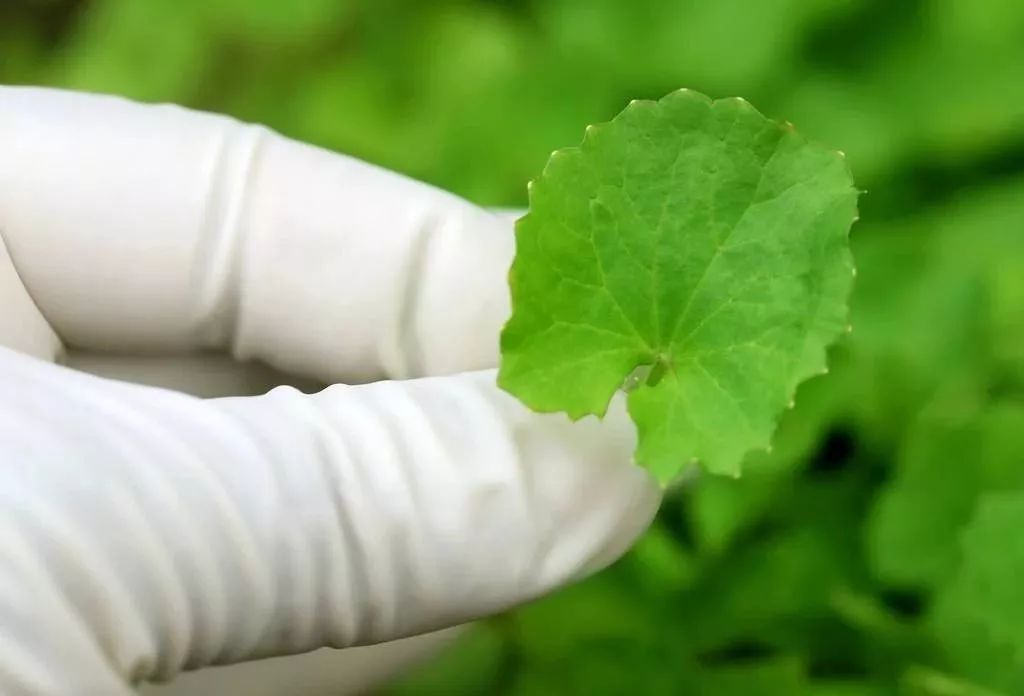 推荐的祛痘面膜青春期,祛痘紧急修复面膜