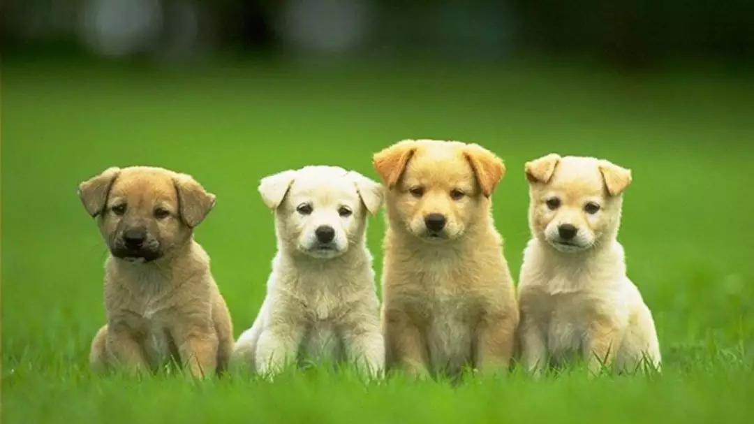 2018成都最全各大批发市场合辑,成都5大批发市场