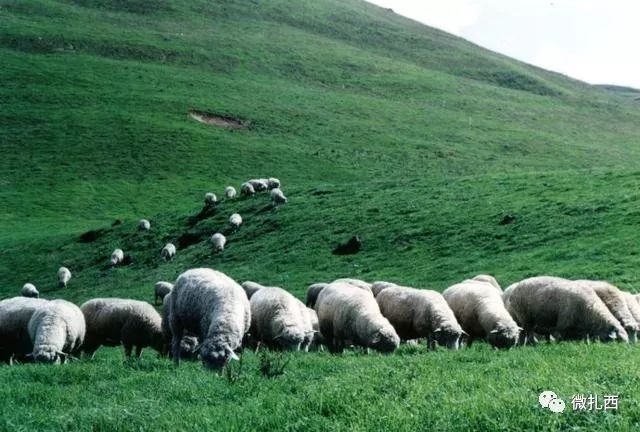 看看云南昭通彝良的风景,看昭通夜景的山