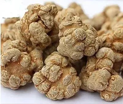 药膳药材和药膳食材,如何设计中药药膳食谱