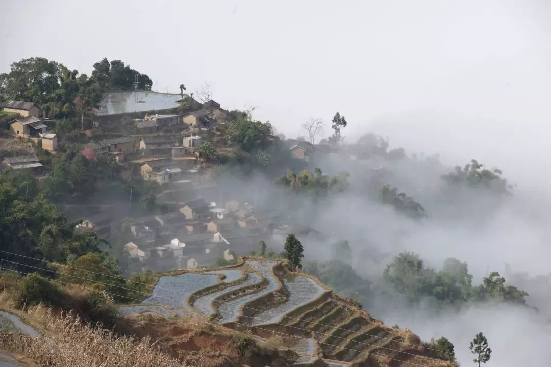 元江哈尼山寨旅游攻略,元江哈尼哪里好玩