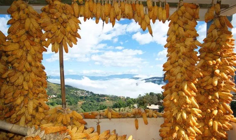 元江哈尼山寨旅游攻略,元江哈尼哪里好玩