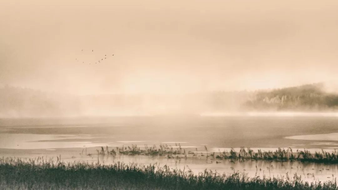 神奇的中文10人读9人读错,神奇的中文十人有九人读错
