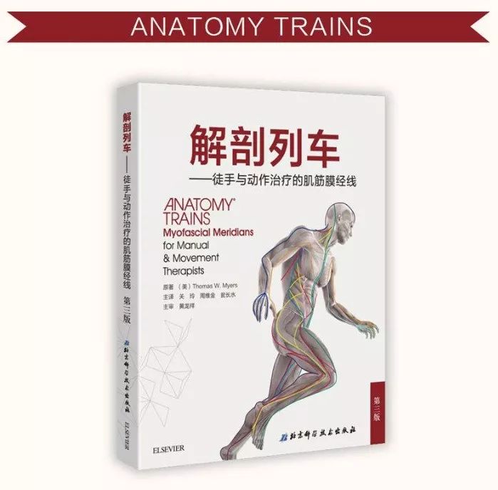 康复人必学的解剖教程/视频/电子书大合集，点击领取