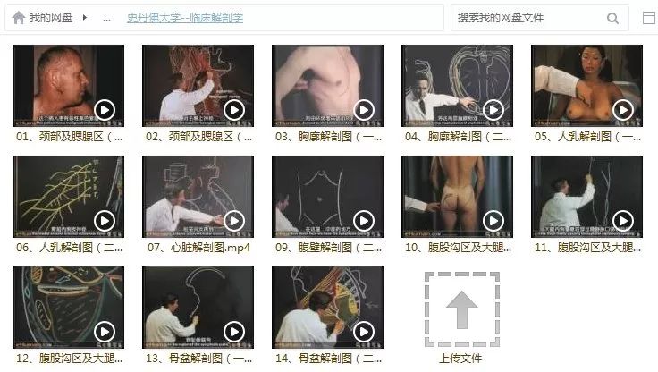 康复人必学的解剖教程/视频/电子书大合集，点击领取