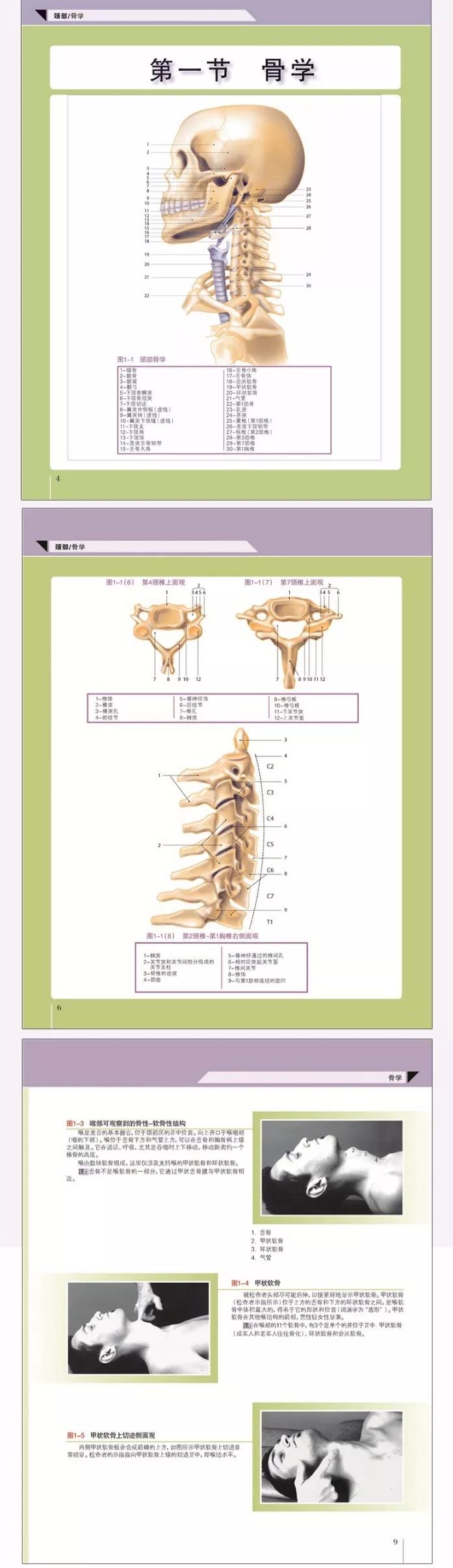 康复人必学的解剖教程/视频/电子书大合集,点击领取