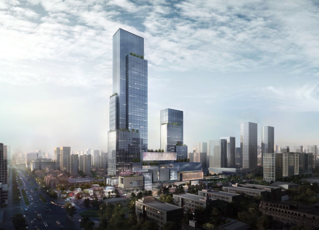 瑰丽董事长,瑰丽集团创始人是谁