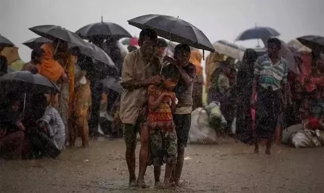 普利策奖饥饿的小孩,饥饿女孩