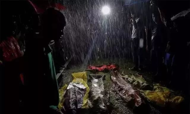 普利策奖饥饿的小孩,饥饿女孩