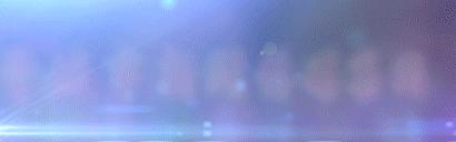 阳城县惊现白鹭,河南惊现白鹭